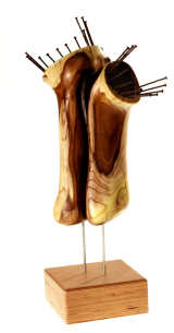 Magic Mushroom